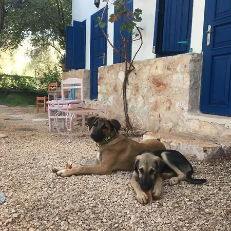 Sunderland Vadi Bed & Breakfast Kaş